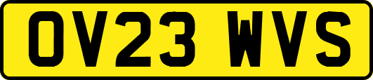 OV23WVS
