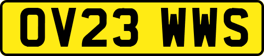 OV23WWS