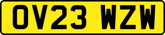 OV23WZW