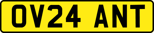 OV24ANT
