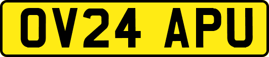 OV24APU