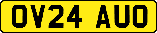 OV24AUO