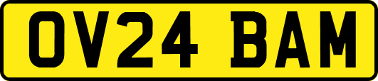 OV24BAM
