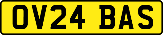 OV24BAS