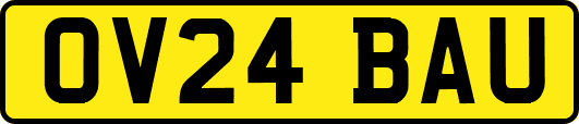 OV24BAU