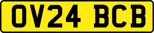 OV24BCB