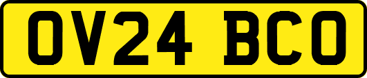 OV24BCO