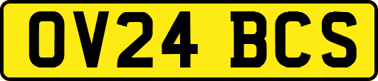 OV24BCS