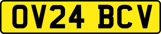OV24BCV