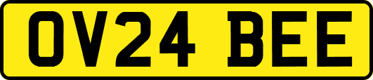 OV24BEE