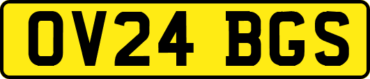 OV24BGS