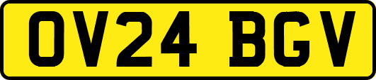 OV24BGV