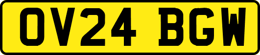 OV24BGW