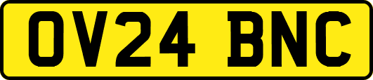 OV24BNC