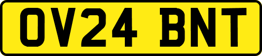 OV24BNT