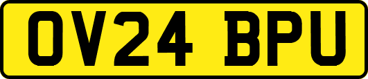 OV24BPU
