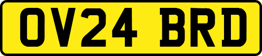 OV24BRD
