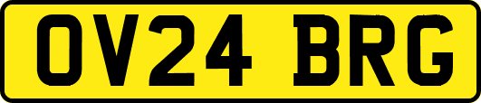 OV24BRG