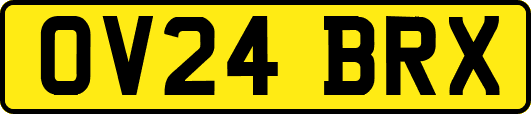 OV24BRX