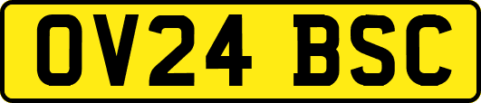OV24BSC