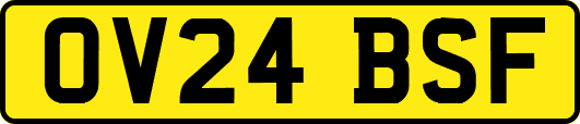OV24BSF
