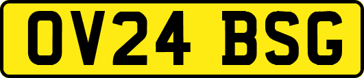 OV24BSG