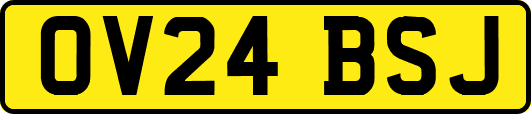 OV24BSJ