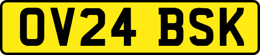 OV24BSK
