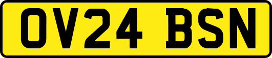 OV24BSN