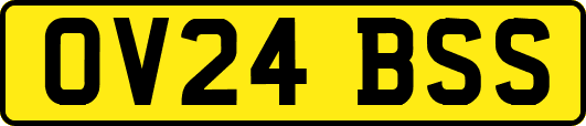 OV24BSS