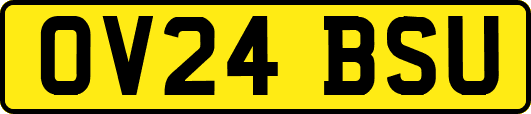 OV24BSU