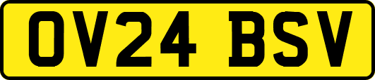 OV24BSV