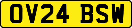 OV24BSW