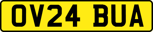 OV24BUA