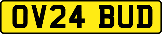 OV24BUD