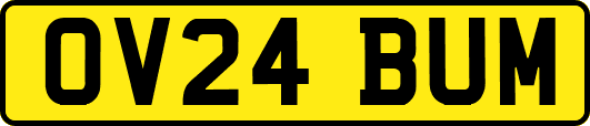 OV24BUM
