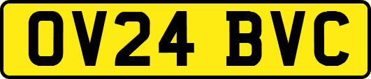 OV24BVC
