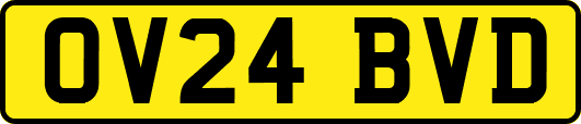 OV24BVD