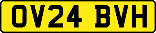 OV24BVH