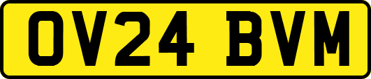 OV24BVM