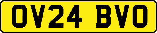OV24BVO