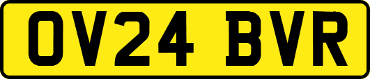 OV24BVR