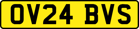 OV24BVS