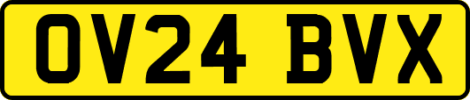 OV24BVX