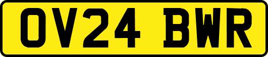 OV24BWR