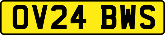 OV24BWS
