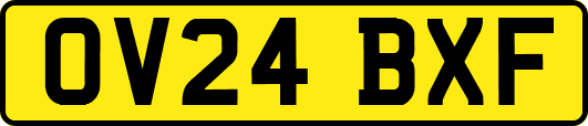 OV24BXF