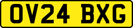 OV24BXG