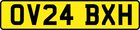 OV24BXH