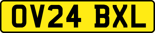 OV24BXL